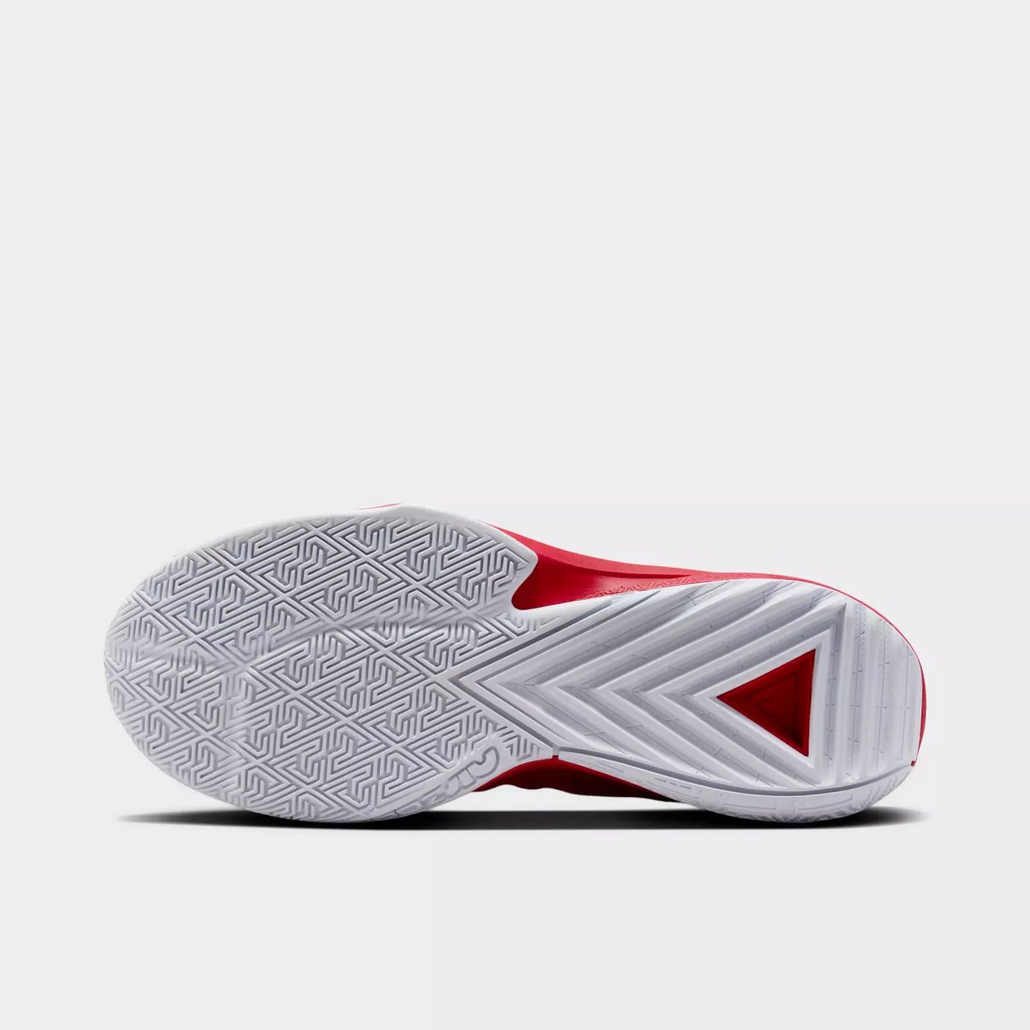 Men's Zoom Freak 5 Team Basketball Shoes