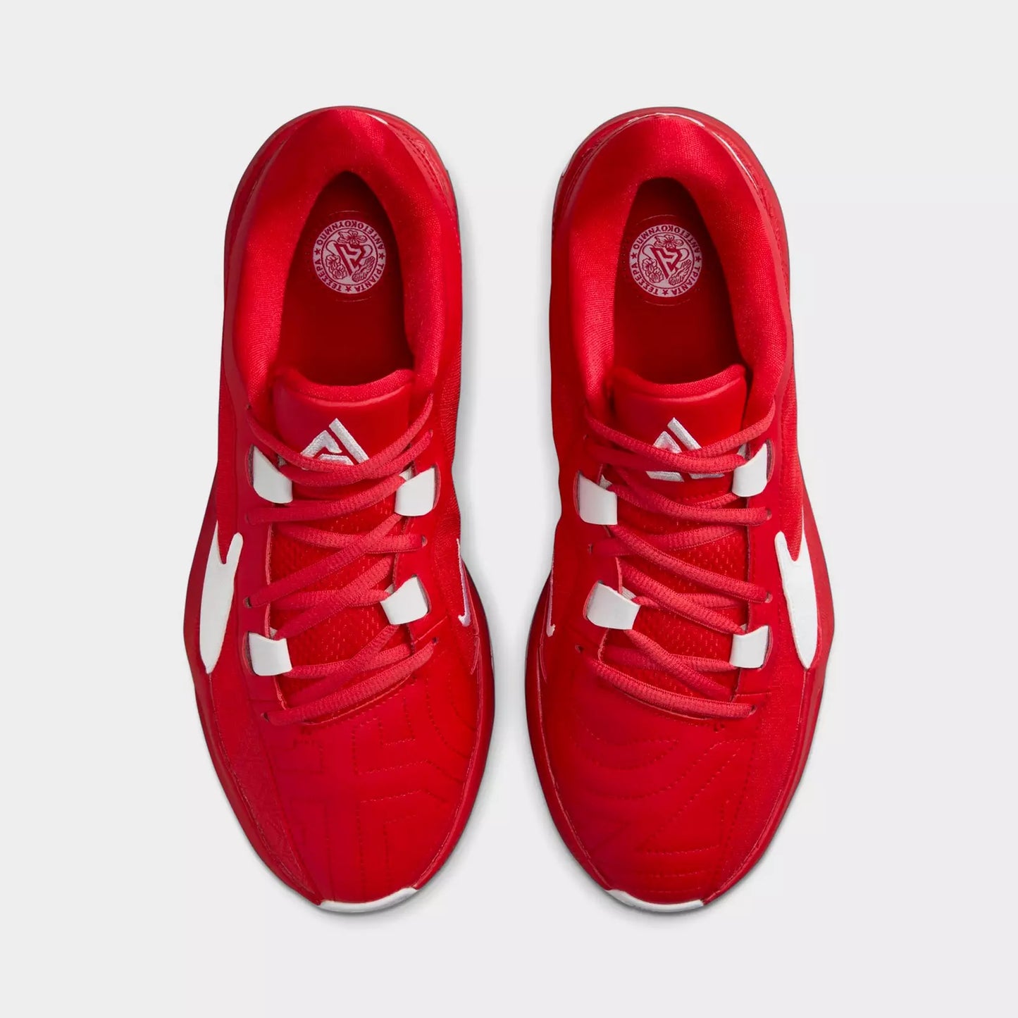 Men's Zoom Freak 5 Team Basketball Shoes
